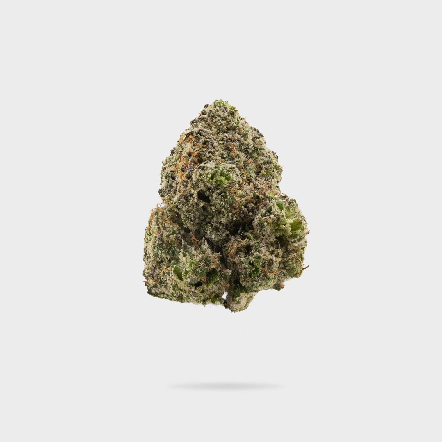 CALI REAPER - ONE SESSION