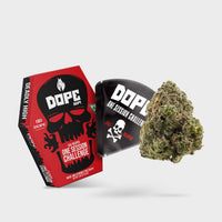 CALI REAPER - ONE SESSION